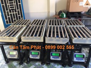 cân điện tử con lăn