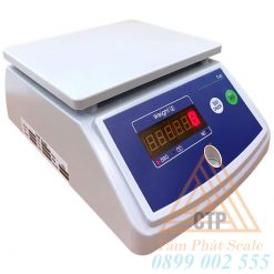 Cân cấp chính xác III thuộc danh mục cân phải phê duyệt mẫu