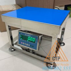 cân điện tử cân hàng dạng ghế